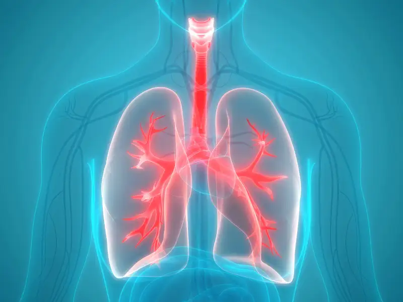 Ayurvedic Treatment For Asthma In Kanpur 
