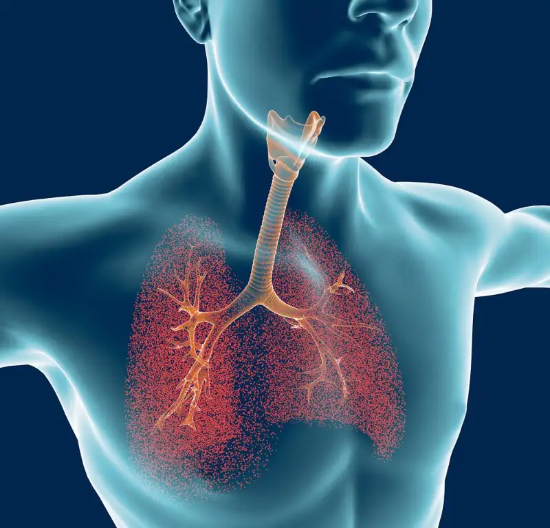 Best Ayurvedic Doctors For Asthmatic Bronchitis in Kanpur